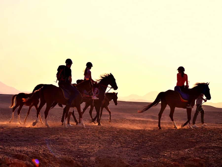 From Hurghada: Makadi Bay Horse Riding Tour - Picking the right timing: sunrise glow, sunset dinner, or a full stargazing evening