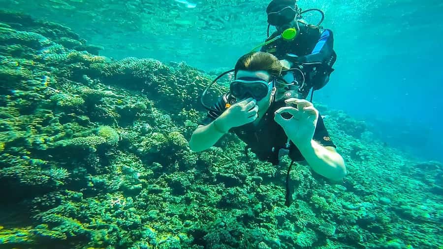 From Hurghada: Orange bay Snorkeling Cruise with Lunch - Key Things to Know Before You Go