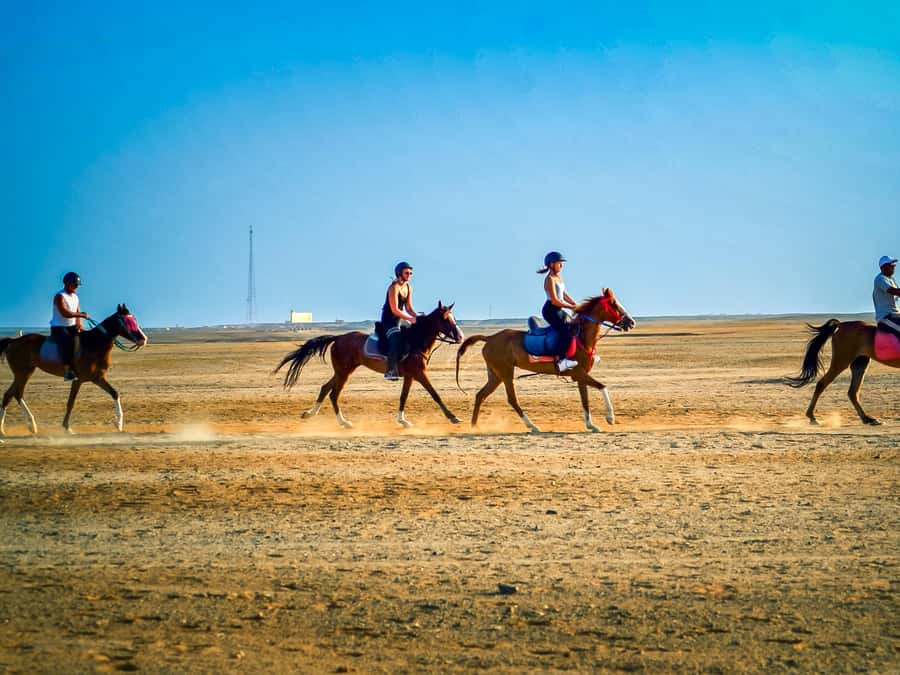 From Hurghada: Red Sea Sunrise and Desert Horseback Riding - Getting There from Hurghada and Nearby Resorts (Without Making It a Day-Long Hassle)