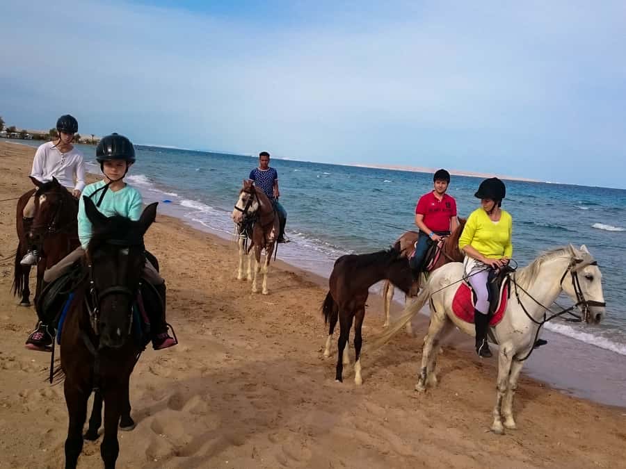 From Hurghada: Red Sea Sunrise and Desert Horseback Riding - What to Bring (and What to Leave Behind) for a Smooth Horse Ride
