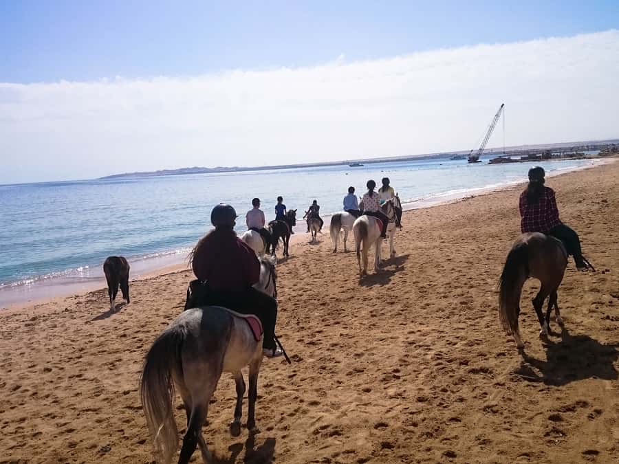 From Hurghada: Red Sea Sunrise and Desert Horseback Riding - Who This Tour Fits Best (and Who Should Skip It)