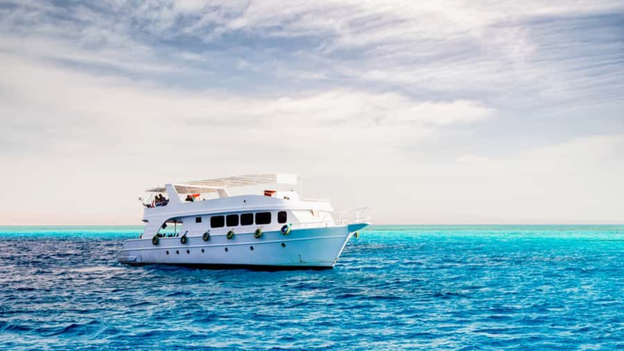 From Hurghada: Scuba Diving with Expert Guide & 2 Dives - Two guided underwater sessions: what the guide actually does