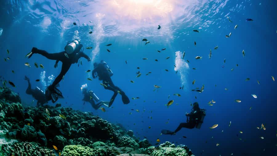From Hurghada: Scuba Diving with Expert Guide & 2 Dives - Gear, comfort, and the small stuff that matters