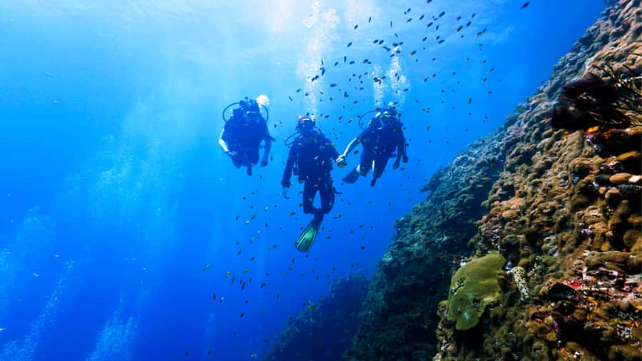 From Hurghada: Scuba Diving with Expert Guide & 2 Dives - Price and value: is $88 a good deal?