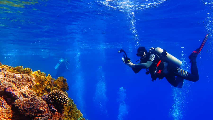From Hurghada: Scuba Diving with Expert Guide & 2 Dives - The best way to plan your day (so it feels smooth)