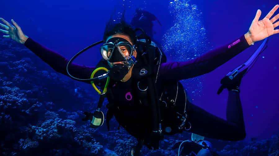 From Hurghada: Scuba Diving with Expert Guide & 2 Dives - Pickup to boat: logistics that can make or break your mood