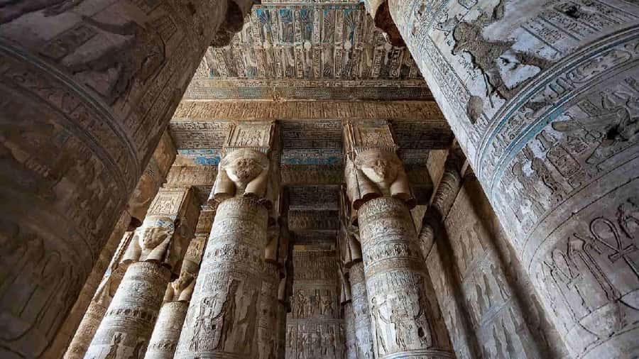 From Luxor: Abydos & Dendera Temples on a Private Day Tour. - Best fit: who will enjoy this day tour most