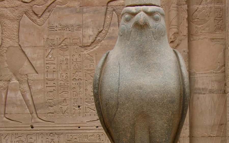 From Luxor: Private Edfu and Kom Ombo Temples Tour & Lunch - Key points at a glance