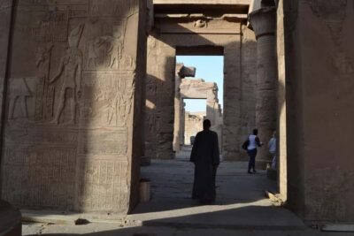 From Luxor: Private Edfu and Kom Ombo Temples Tour & Lunch - Temple of Edfu in a guided hour: Horus, Osiris, and what to notice