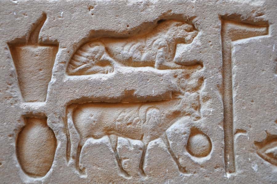 From Luxor: Private Edfu and Kom Ombo Temples Tour & Lunch - Timing and pacing: how the 1-hour temple visits affect your experience