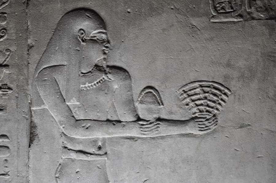 From Luxor: Private Edfu and Kom Ombo Temples Tour & Lunch - What kind of travelers should choose this tour