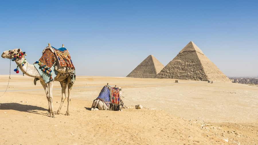 From Sharm El Sheikh: Cairo Private Day Trip by Plane - The Egyptian Museum: Why a Highlights-First Approach Works