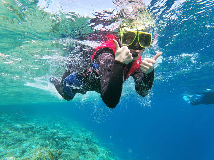 From Sharm El-Sheikh: Ras Mohamed & white island Boat Trip - Photos and Views: Where This Trip Really Performs
