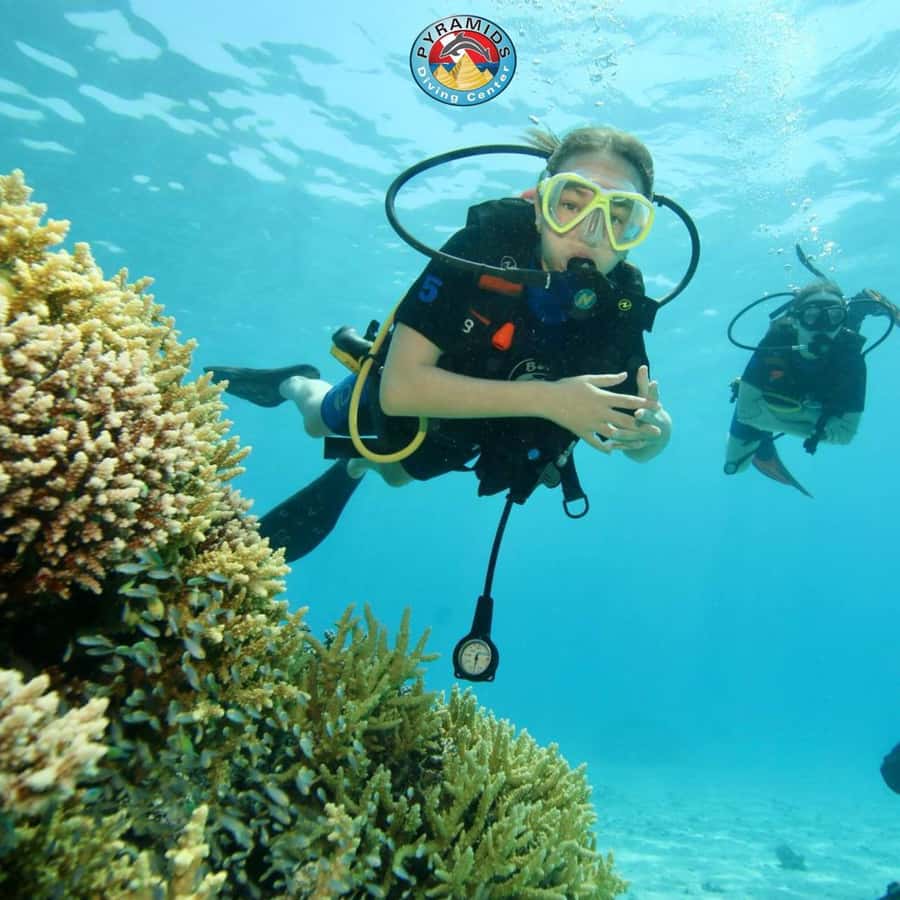 From Sharm El-Sheikh: Ras Mohamed & white island Boat Trip - The Staff and Overall Experience: Professional and Friendly Matters