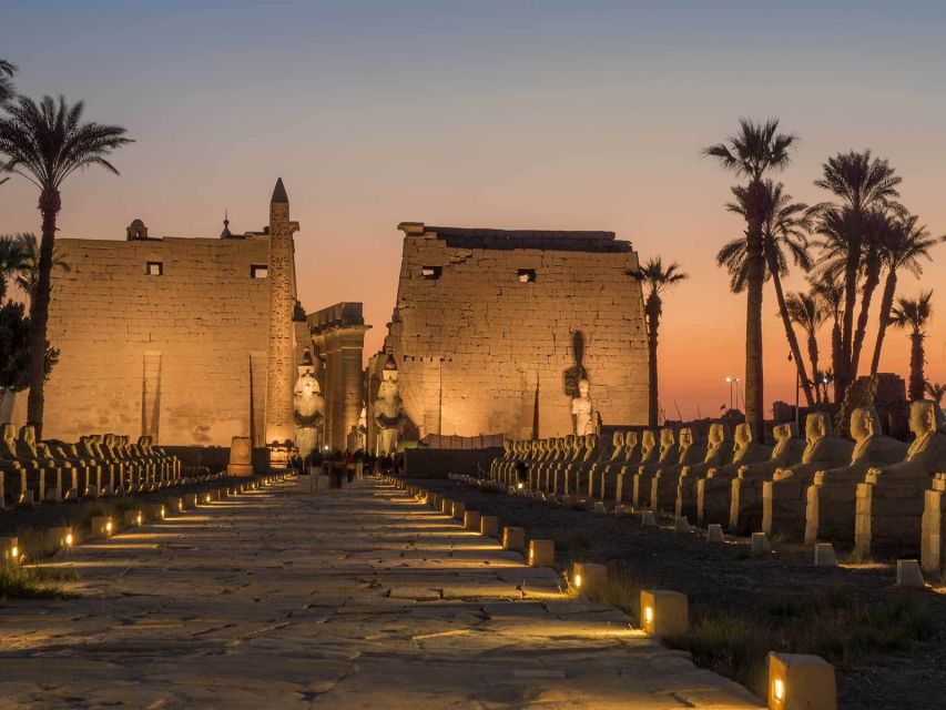 From Sharm: Full Day Tour in Cairo By flight - Who this Cairo day trip from Sharm is best for