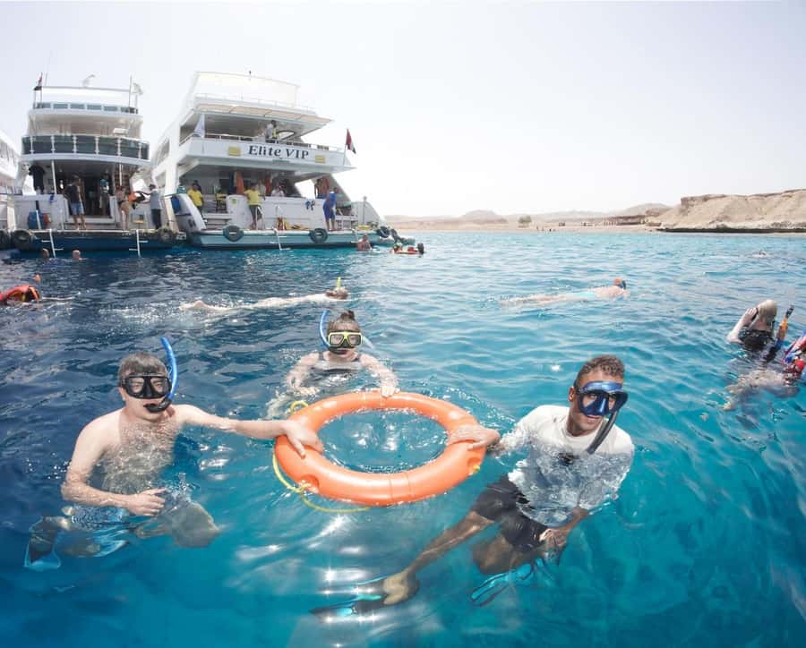 From Sharm: Half day Snorkeling Trip with Lunch - Snorkeling guide quality: why “who” matters here