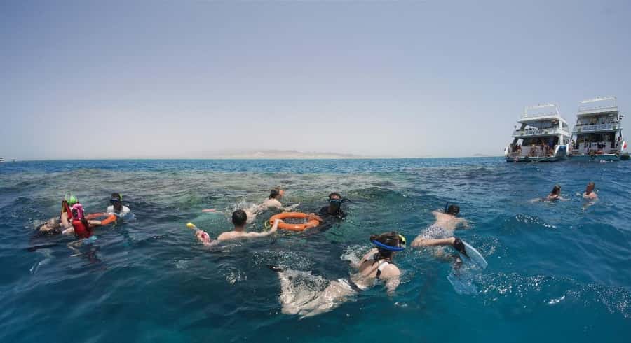 From Sharm: Half day Snorkeling Trip with Lunch - English support, gear options, and the safety vibe