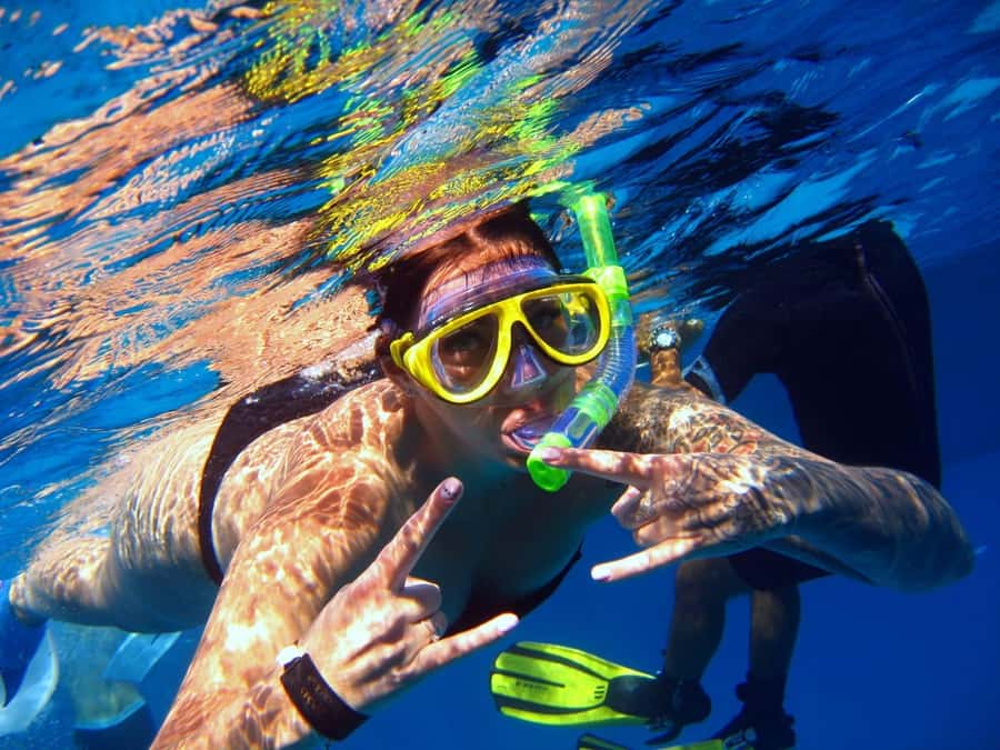 From Sharm: Half day Snorkeling Trip with Lunch - Watanya Marina pickup and the “don’t miss this” timing