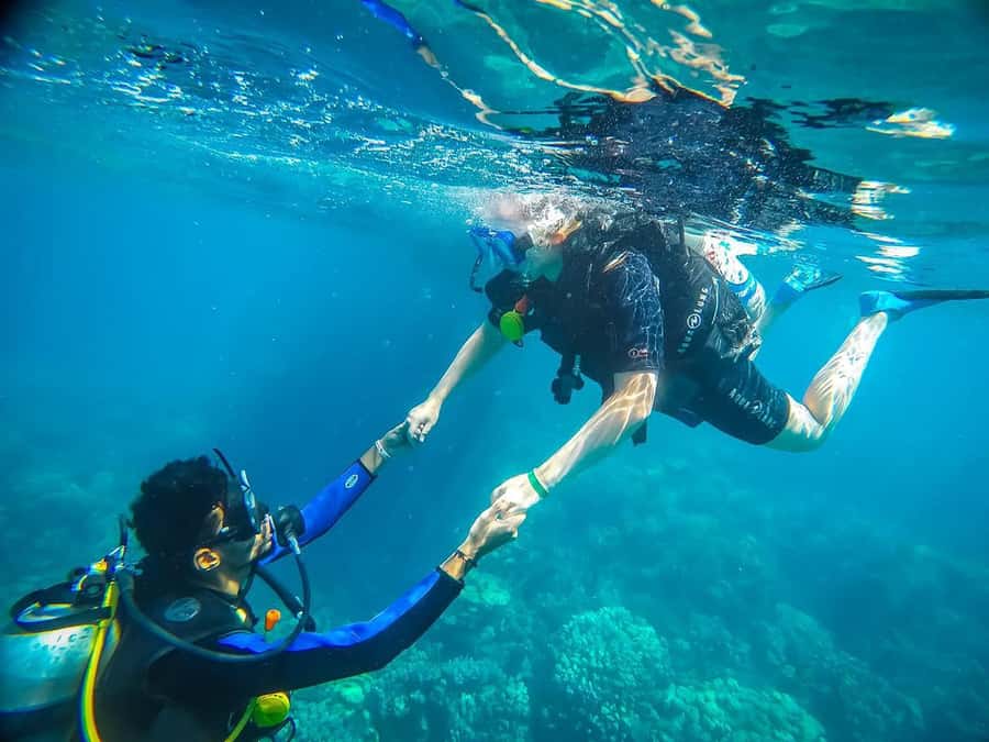 From Sharm: Luxury Diving cruise to Ras Mohammed with Lunch - Key things to know before you book