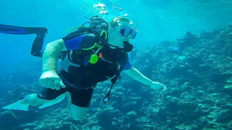 From Sharm: Luxury Diving cruise to Ras Mohammed with Lunch - Surface interval (about 90 minutes): snacks, unlimited drinks, and resetting your brain