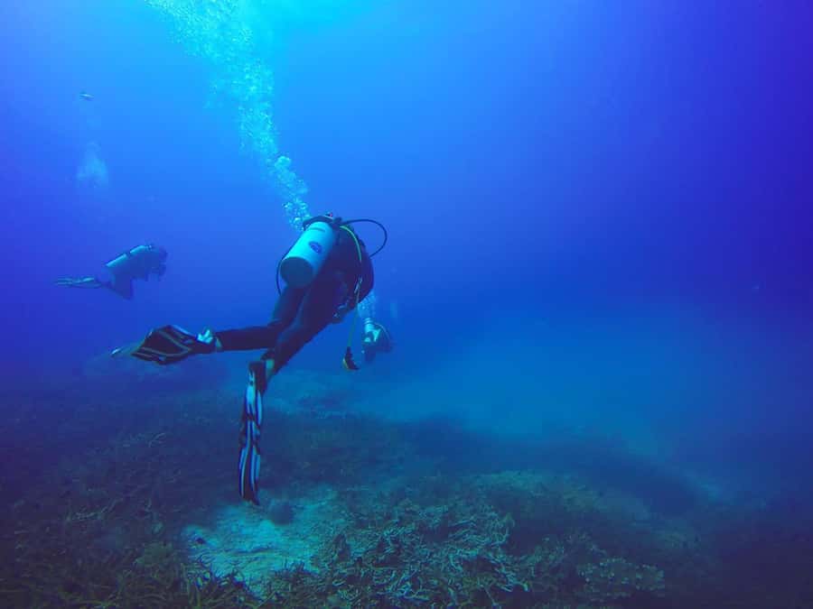 From Sharm: Luxury Diving cruise to Ras Mohammed with Lunch - Price and value: is $54 a good deal for this kind of day?