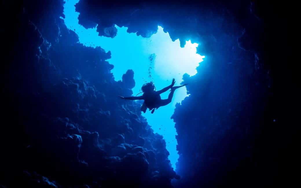 From Sharm or Dahab: Blue Hole & Canyon Sea Dive Experience - Canyon: the second session for coral variety and fish action