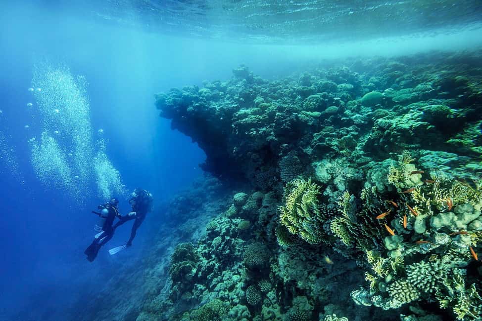 From Sharm or Dahab: Blue Hole & Canyon Sea Dive Experience - Equipment and what’s covered (and what you’ll need to bring)