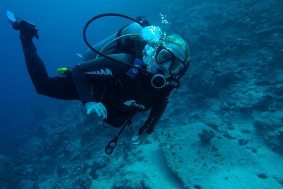 From Sharm or Dahab: Blue Hole & Canyon Sea Dive Experience - From Sharm or Dahab: hotel transfers and how the day starts