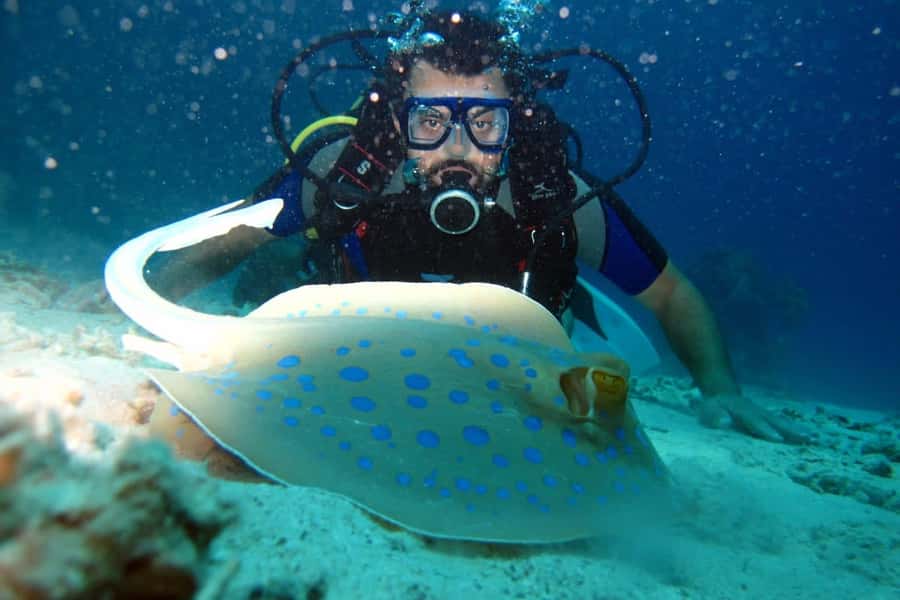 From Sharm: Ras Mohammed snorkeling cruise & optional diving - Duration and the One Real Consideration: Time on the Water