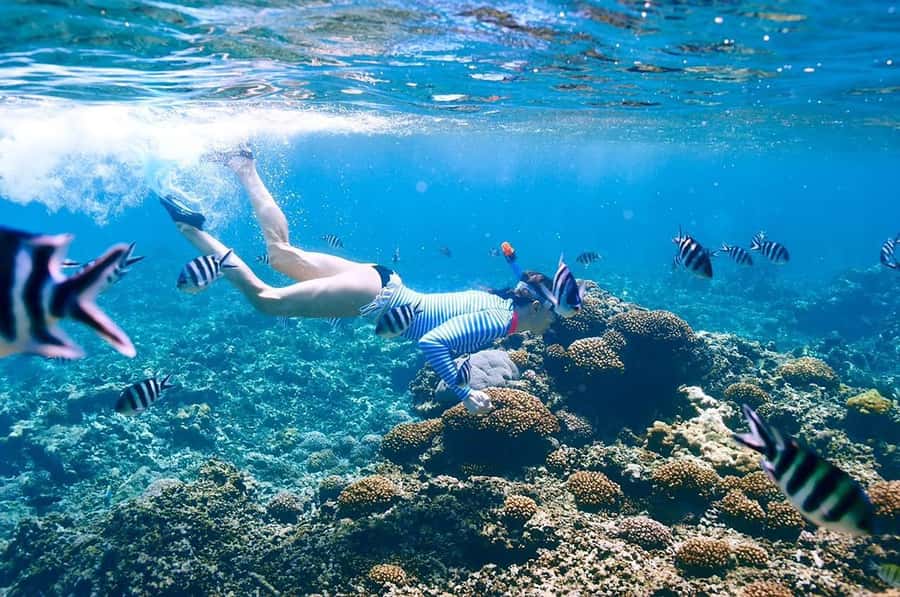 From Sharm: Ras Mohammed snorkeling cruise & optional diving - White Island (Only if the Tide Allows)