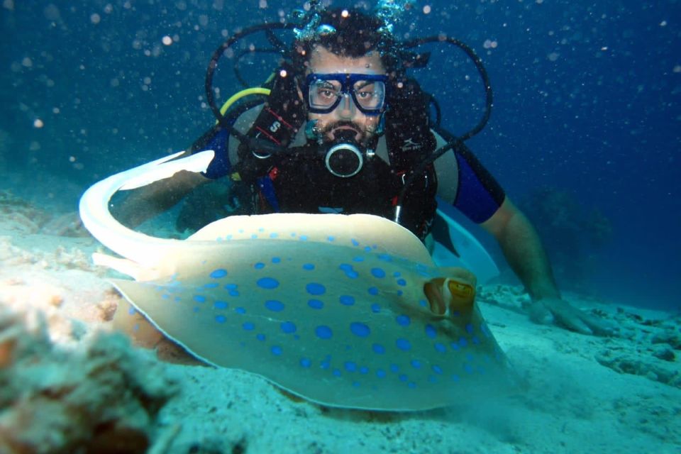 From Sharm: Ras Mohammed snorkeling cruise & optional diving - Lunch on Deck: Comfort Food With a View