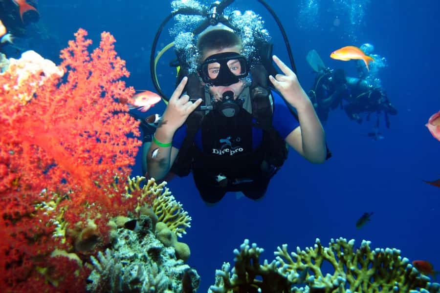 From Sharm: Ras Mohammed snorkeling cruise & optional diving - Boat Comfort and How to Use It