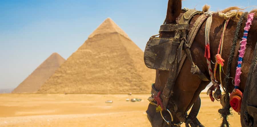 Giza: Arabian Horse Tour Around the Giza Pyramids - Heading Toward the Great Sphinx: Up Close, But Still Practical
