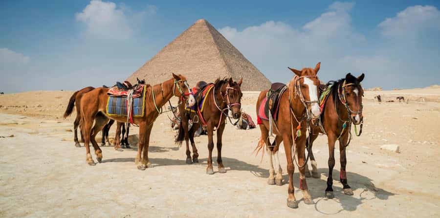 Giza: Arabian Horse Tour Around the Giza Pyramids - Price and Value: Is $20 a Good Deal?