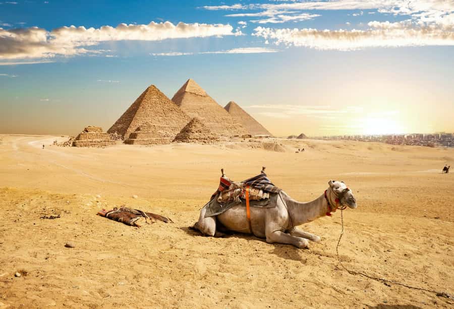 Giza Pyramids and Grand Egyptian Museum - Half-Day Giza Plan That Actually Respects Your Time