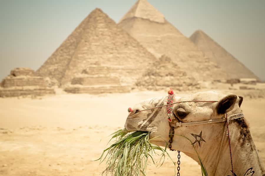 Giza Pyramids and Sphinx: Half-Day Private or Group Tour - Private vs Group: Meeting Points, Timing, and Flexibility
