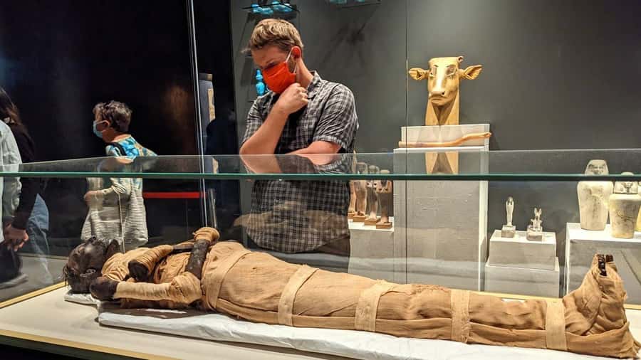 Giza Pyramids, Mummy Museum And Bazaar Private Day Tour - Price and logistics: what $70 buys you in real life