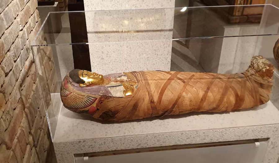 Giza Pyramids, Mummy Museum And Bazaar Private Day Tour - A few practical tips so your day feels smooth