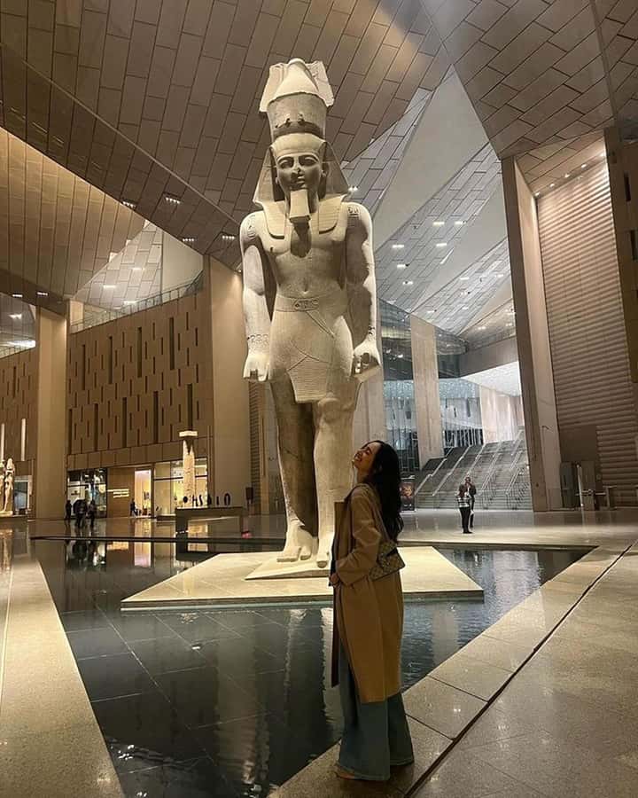 Grand Egyptian Museum Private Guided Tour(GEM) - Tutankhamun, Up Close: A Full Collection in One Place