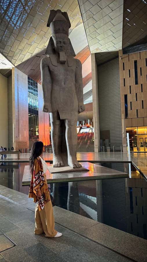 Grand Egyptian Museum Private Guided Tour(GEM) - Price and Value: Is $115 for 5 Hours Worth It?