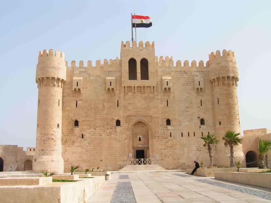 Group Tour top Things To Do In Alexandria From Cairo - Lunch at a local restaurant: what’s included and what to watch