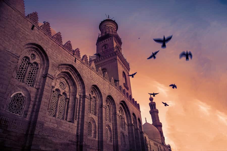 Half Day Tour: El Moez Street, Al Azhar Park and Bazar - Al-Azhar Park: your breather with skyline views