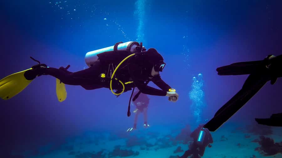 Hurghada: 1, 2, 3, 4, or, 5-Day Scuba Diving Package - Key things you should lock in before you book