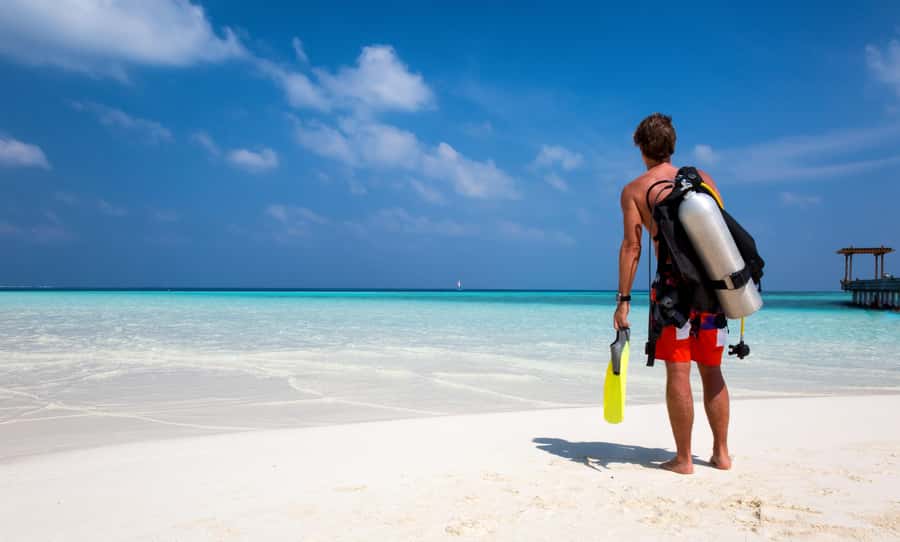 Hurghada: 1 day DIVING Refrechment, Check Dives and Dolphins - The 7-Hour Flow: What the Day Feels Like From Start to Finish