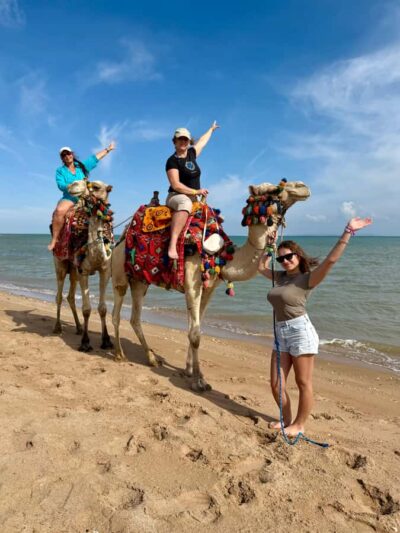 Hurghada: 1-Hour Desert & Beach Camel Ride with Transfers - Lucky Horses Stable: meeting the camel and the animal farm vibe