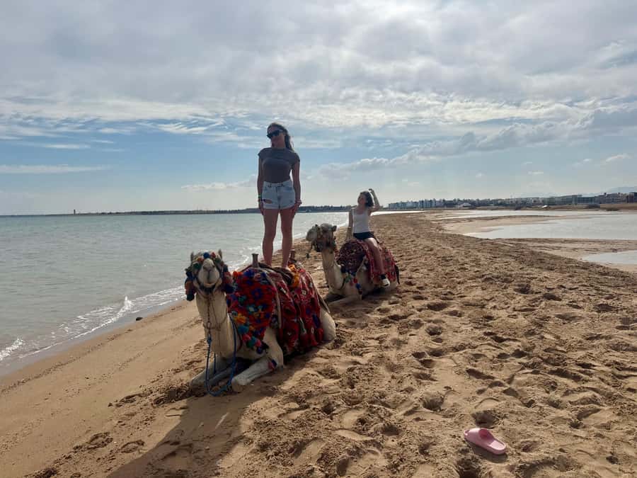 Hurghada: 1-Hour Desert & Beach Camel Ride with Transfers - The 1-hour camel ride: dunes, rhythm, and simple fun