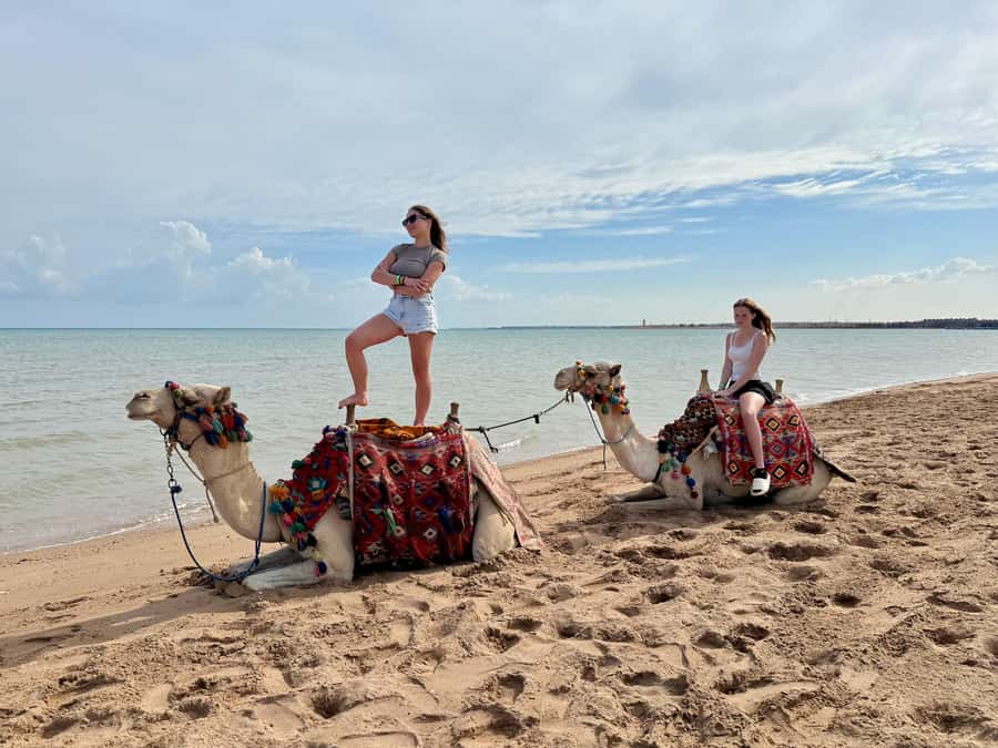 Hurghada: 1-Hour Desert & Beach Camel Ride with Transfers - Red Sea beach time: the part most people remember