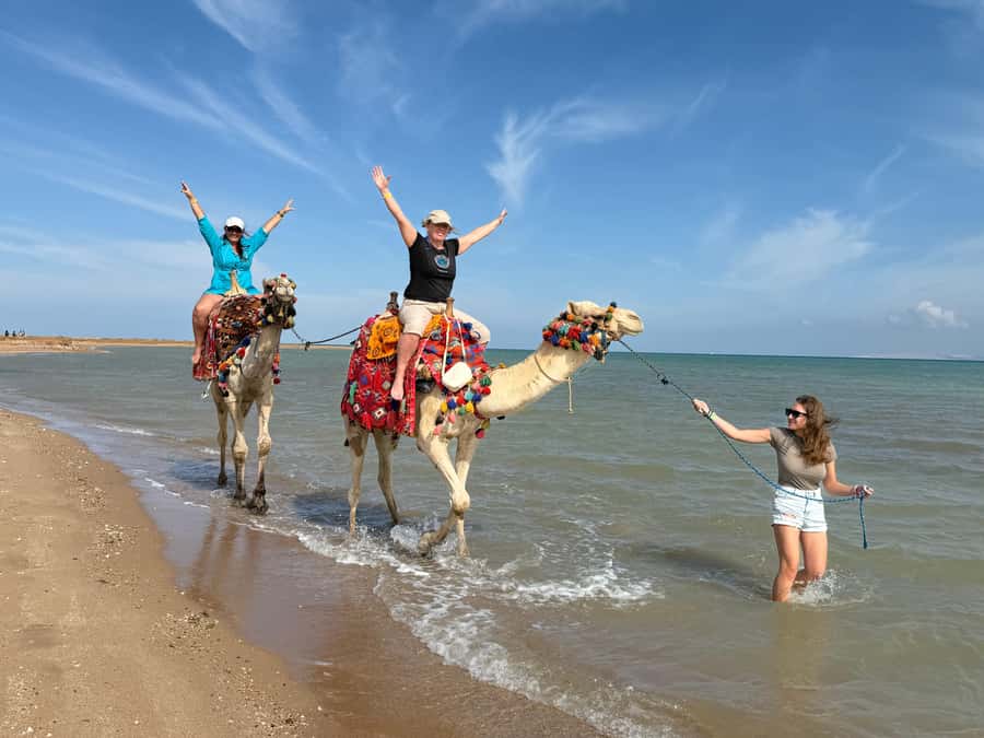 Hurghada: 1-Hour Desert & Beach Camel Ride with Transfers - Transfers and timing in Hurghada: what the 2 hours really means