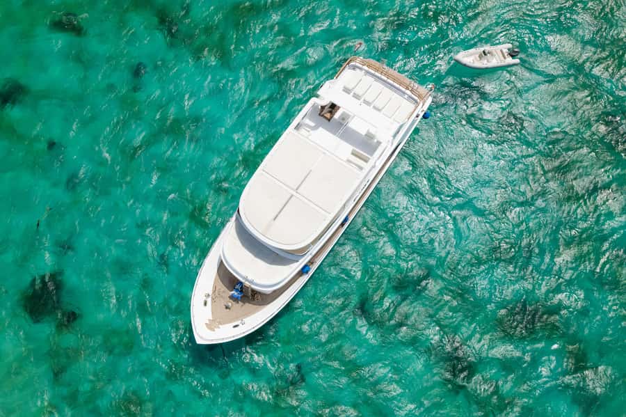 Hurghada: All-Inclusive Elite VIP Dolphin House & Massage - Who this trip fits best