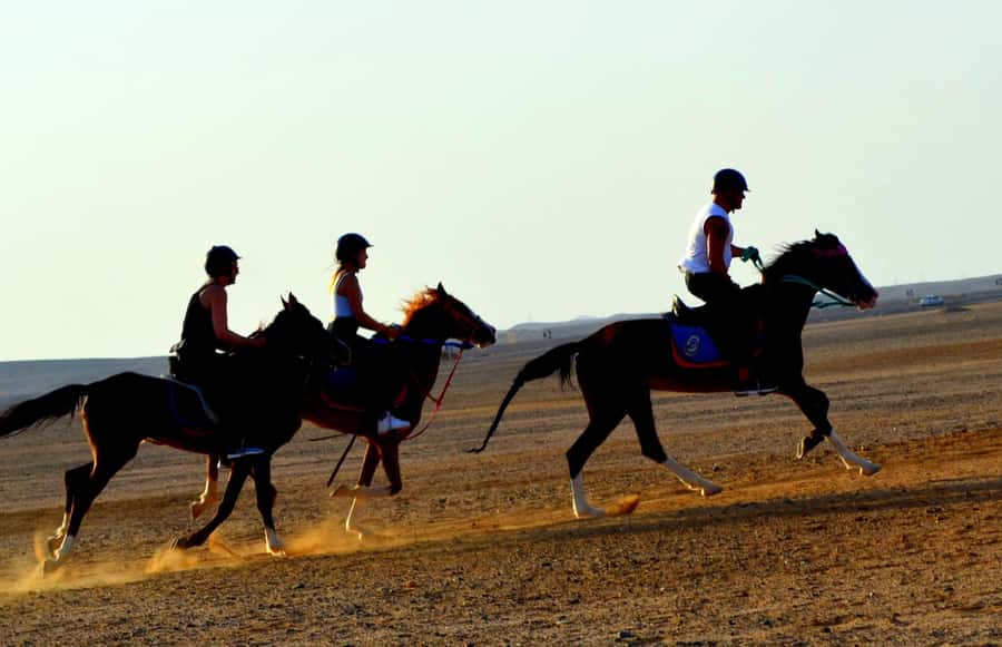 Hurghada: Arabian Desert and Sea Horseback Adventure - Safety and Horse Matching: Why Beginners Usually Feel Fine